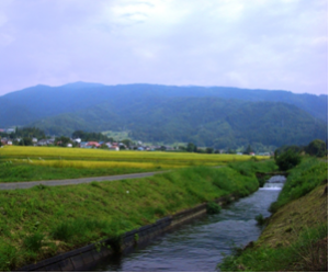 新しい画像 (9)