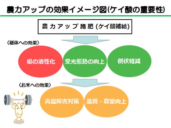 ブログ図20201207