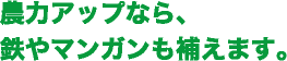 農力アップなら、鉄や満願も補えます。